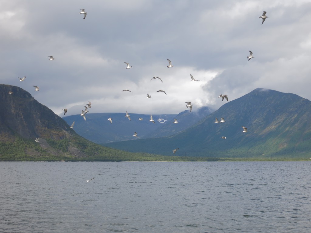 Am See bei Kirowsk