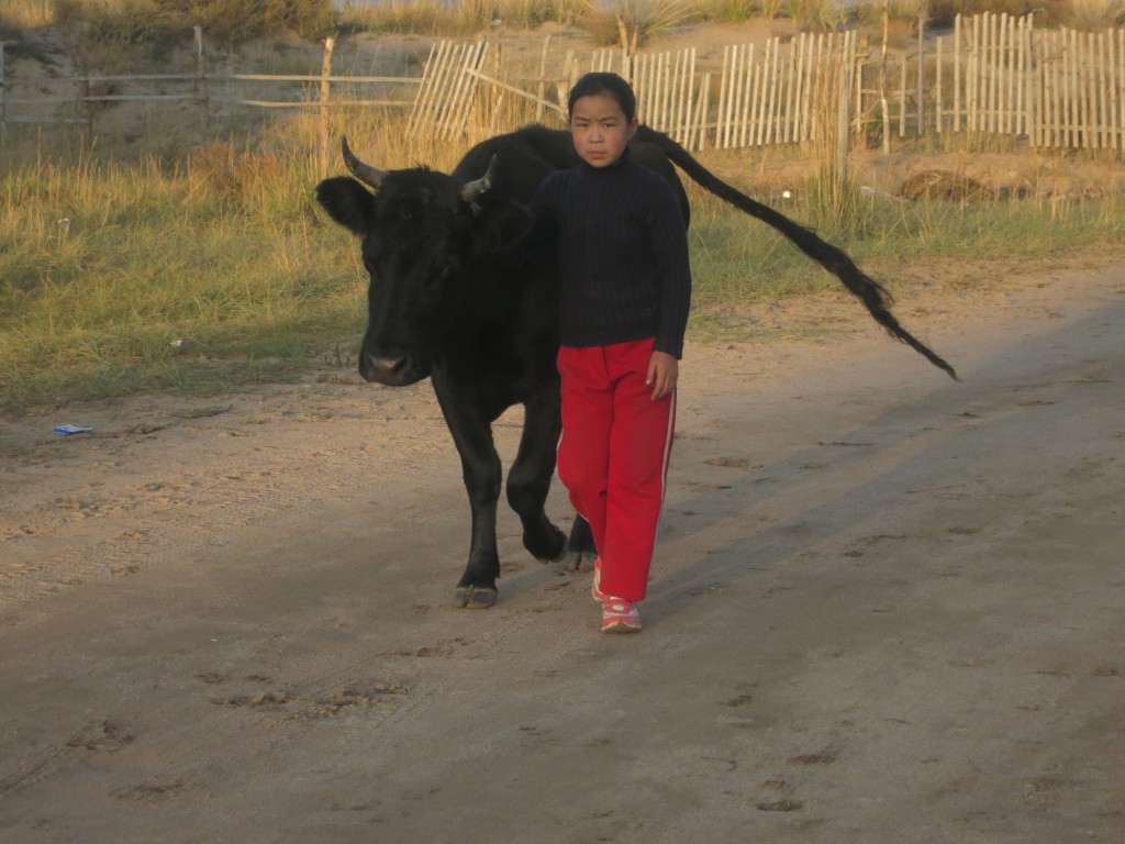 Mädchen mit Kuh