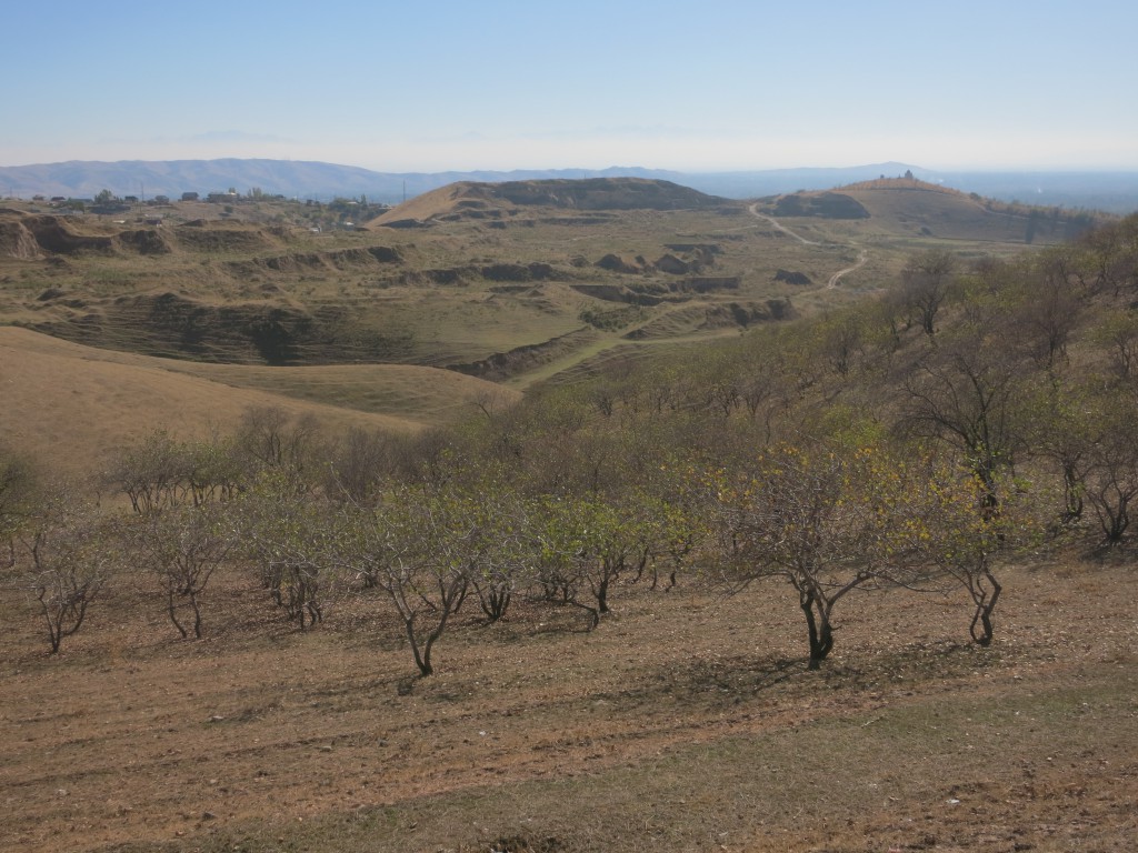 Blick über die angrenzenden Berge