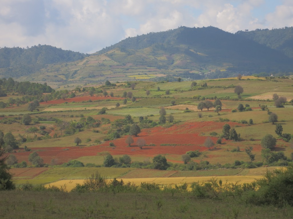 Bunte Felder und Berge