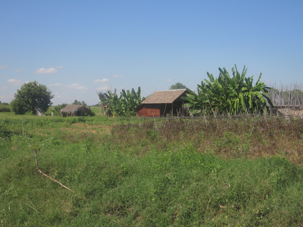 Umgebung zwischen Mandalay und Monywa