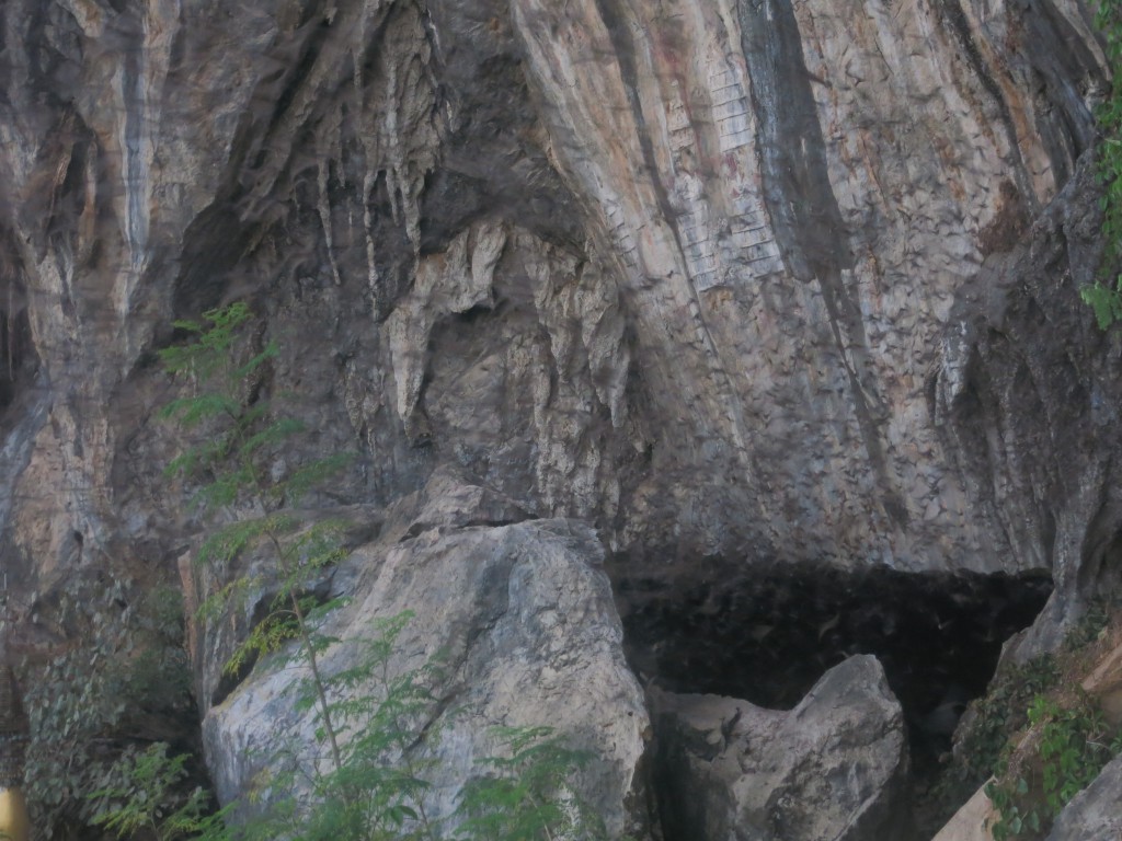 Fledermäuse fliegen aus der Höhle