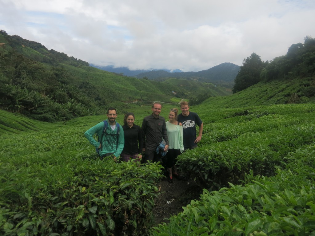 Gruppenbild inmitten der Teeplantage