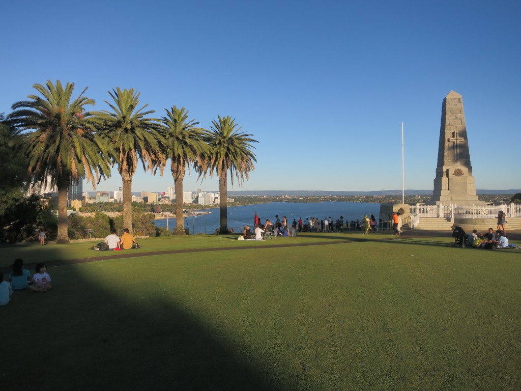 Grüne Wiesen und Palmen im Kings Park