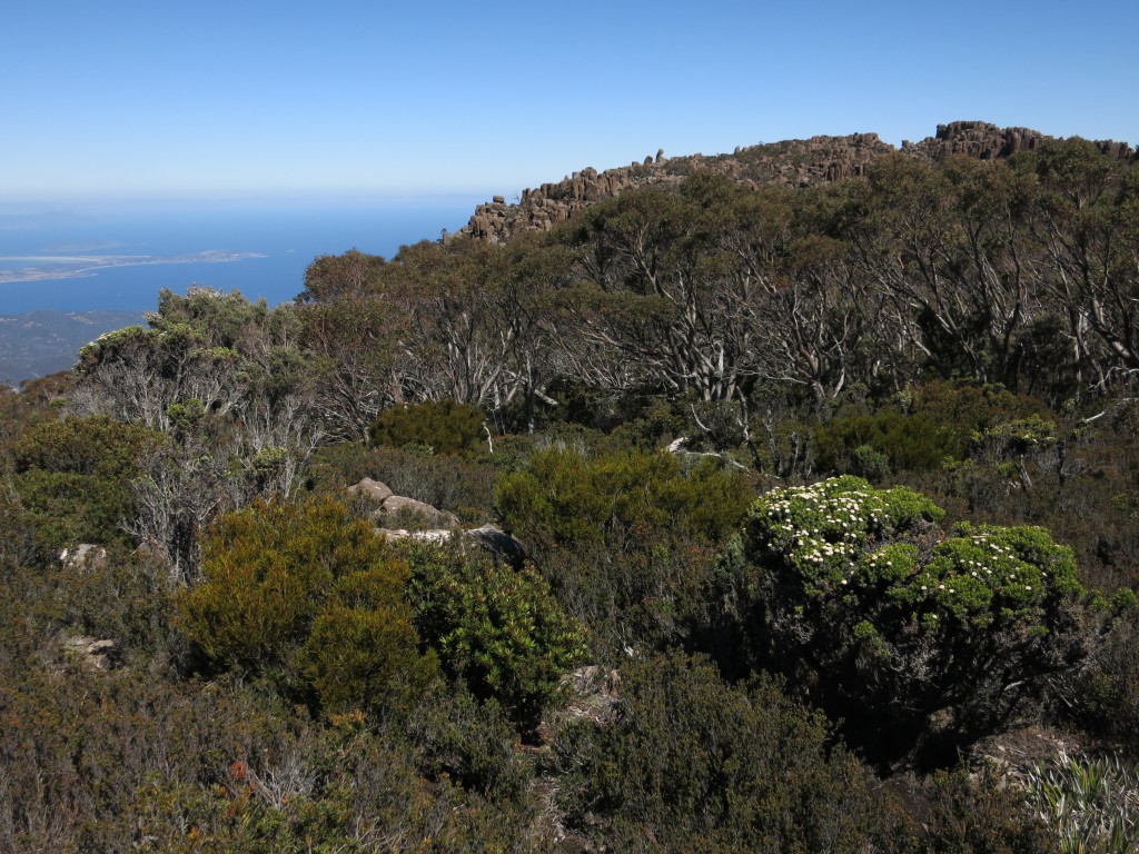 Pinnacles, Büsche und Aussicht