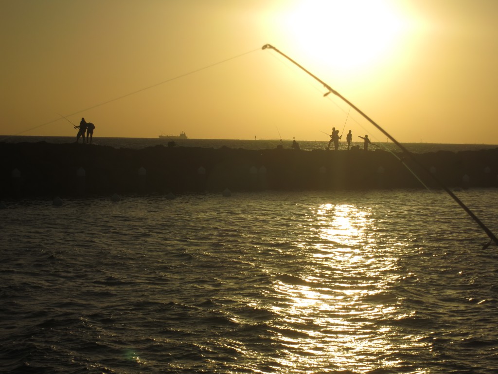 Angler in St. Kilda