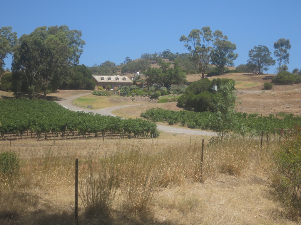 Barossa Valley: Zwischen Tanunda und Bethany