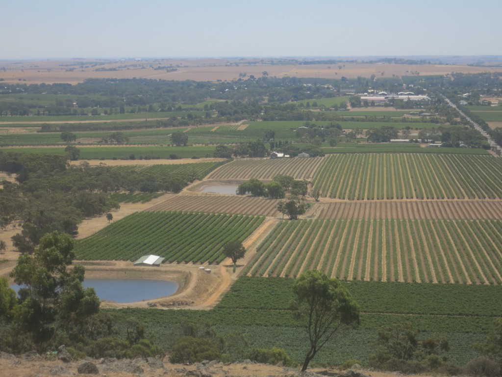 Blick aufs Barossa Valley