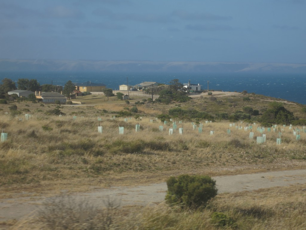 Anfahrt nach Cape Jervis mit Kangaroo Island in Sicht