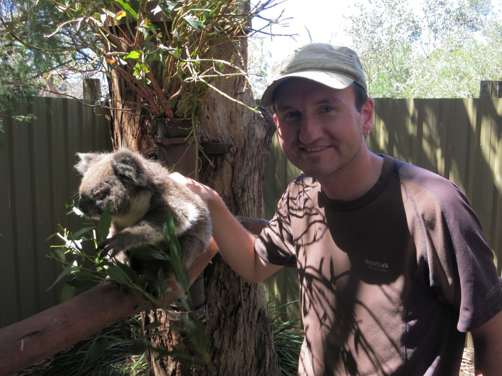 Mit einem Koala