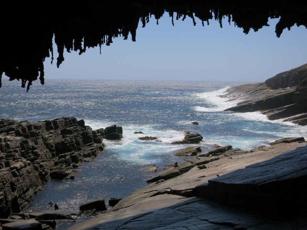 Admirals Arch mit Seehunden auf den Steinen und links unten im Wasser