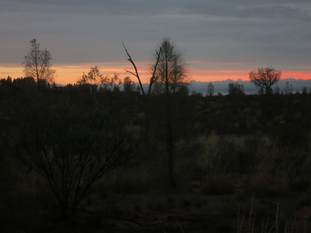 Dämmerung nahe des Uluru