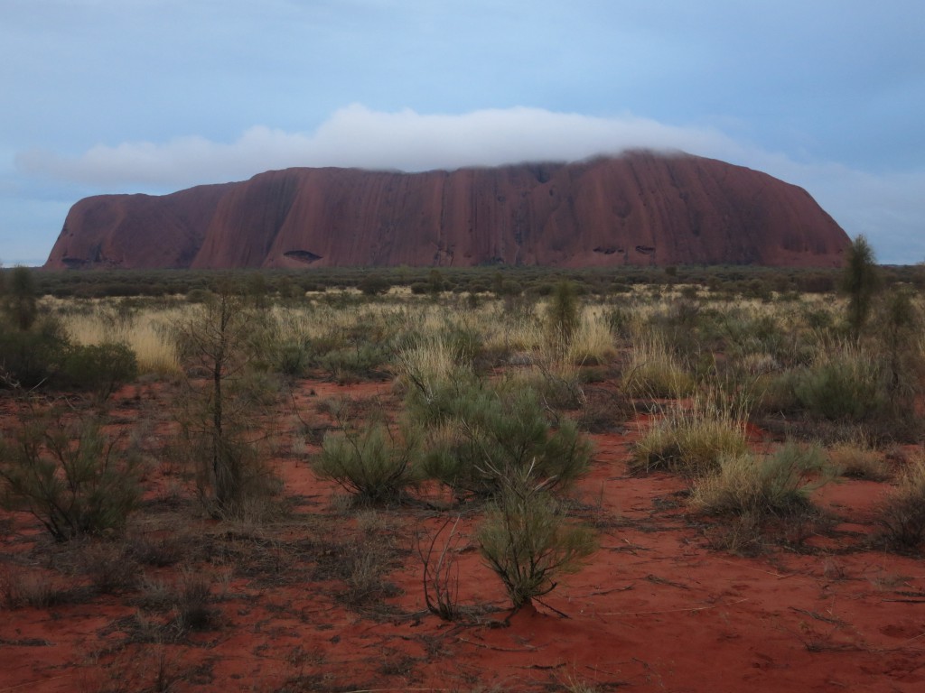 Uluru mit Wolkendecke am Morgen