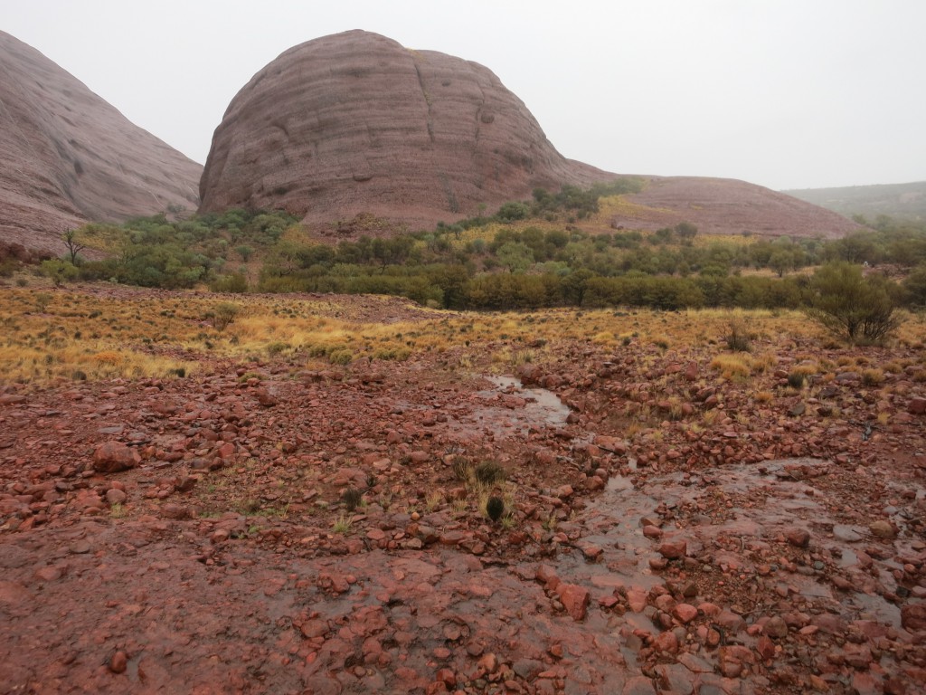 Auf dem Rundweg bei den Kata Tjuta