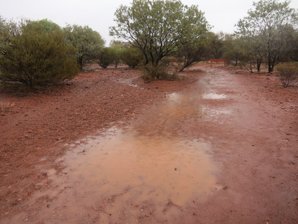 Regen am Ende der Wanderung bei den Kata Tjuta