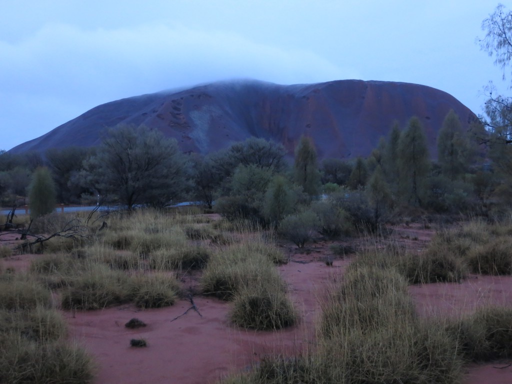 Grau-violetter Uluru am Abend