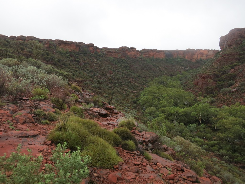 Blick auf den Rand des Kings Canyon