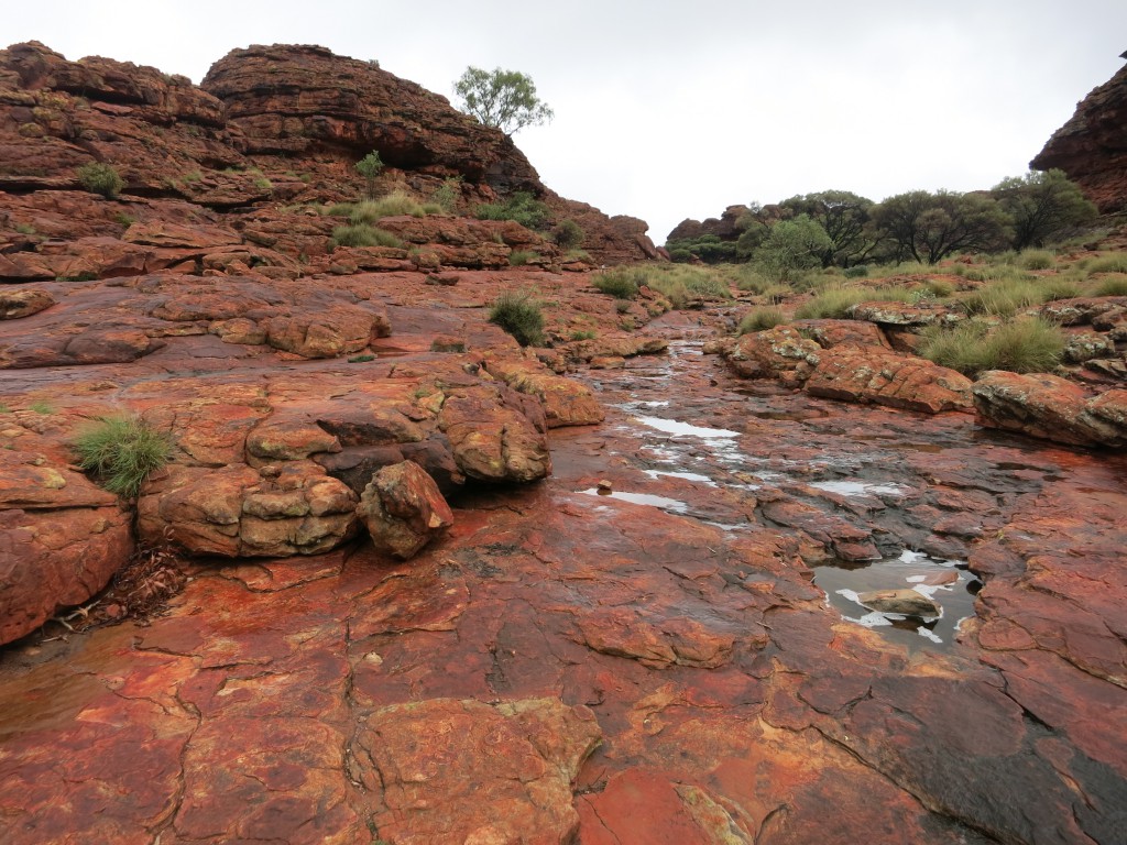 Typische Landschaft am Kings Canyon