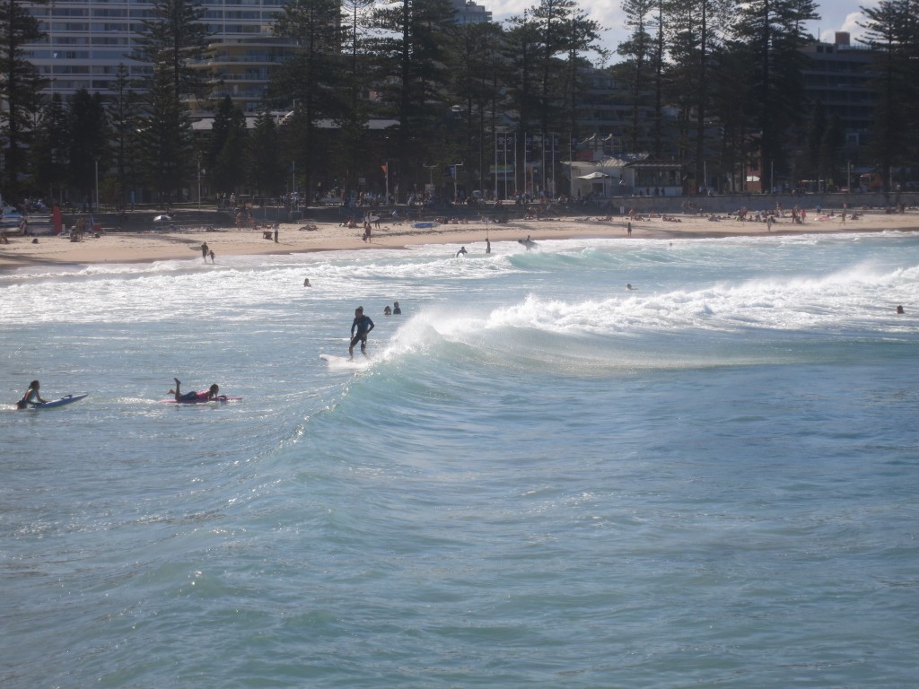 Surfer in Manly