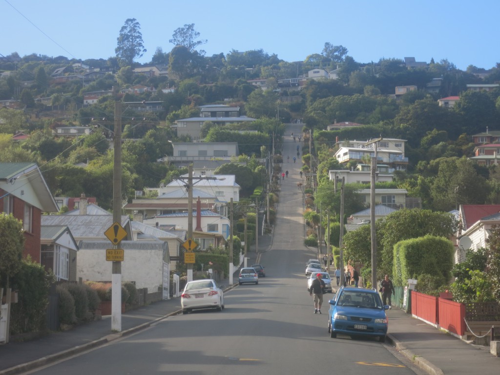 Baldwin Street, die steilste Straße der Welt