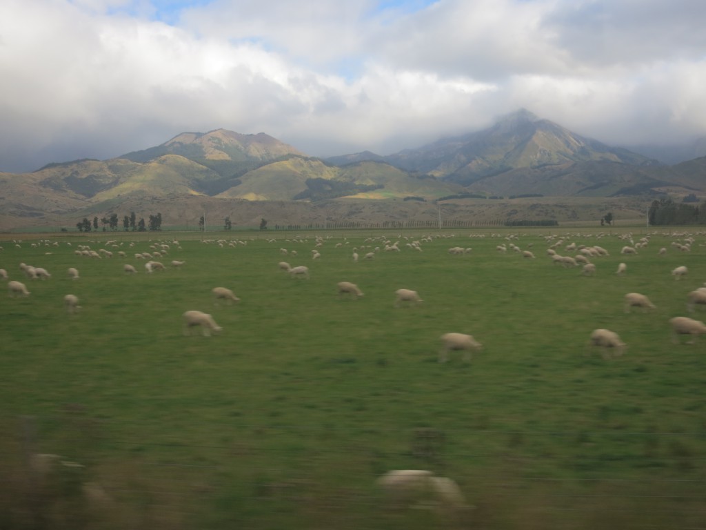 Auf dem Weg nach Te Anau