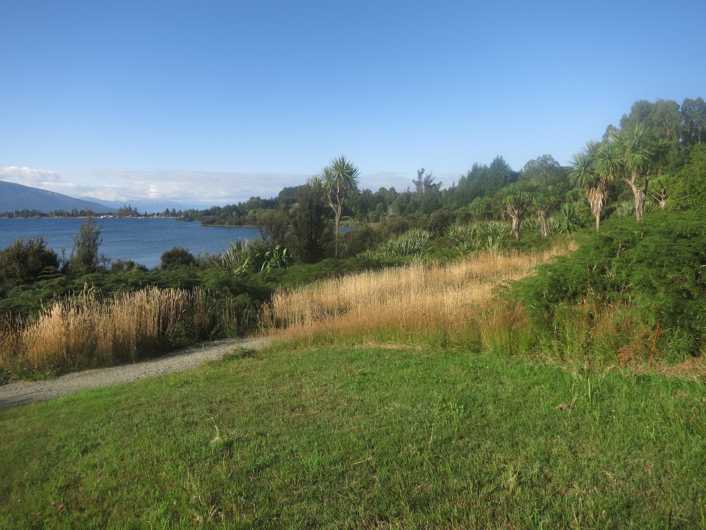 Vielfältige Vegetation am Lake Te Anau