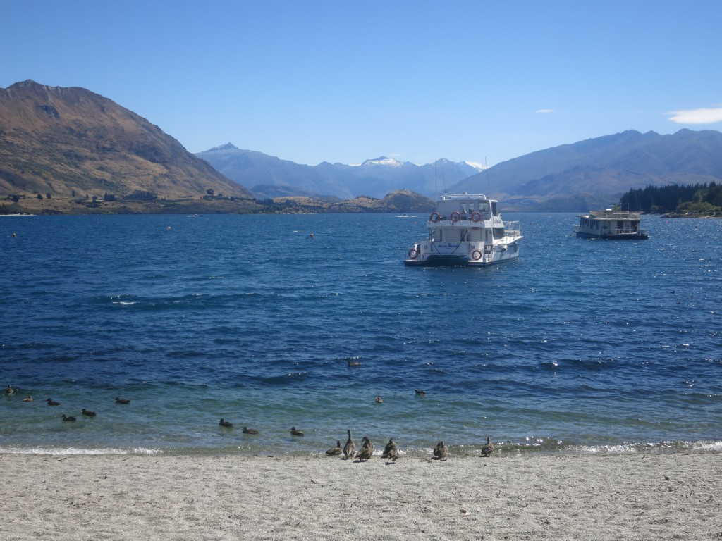 Ufer des Lake Wanaka