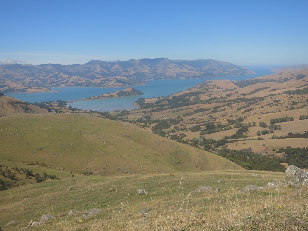 Banks-Halbinsel: Akaroa Harbour