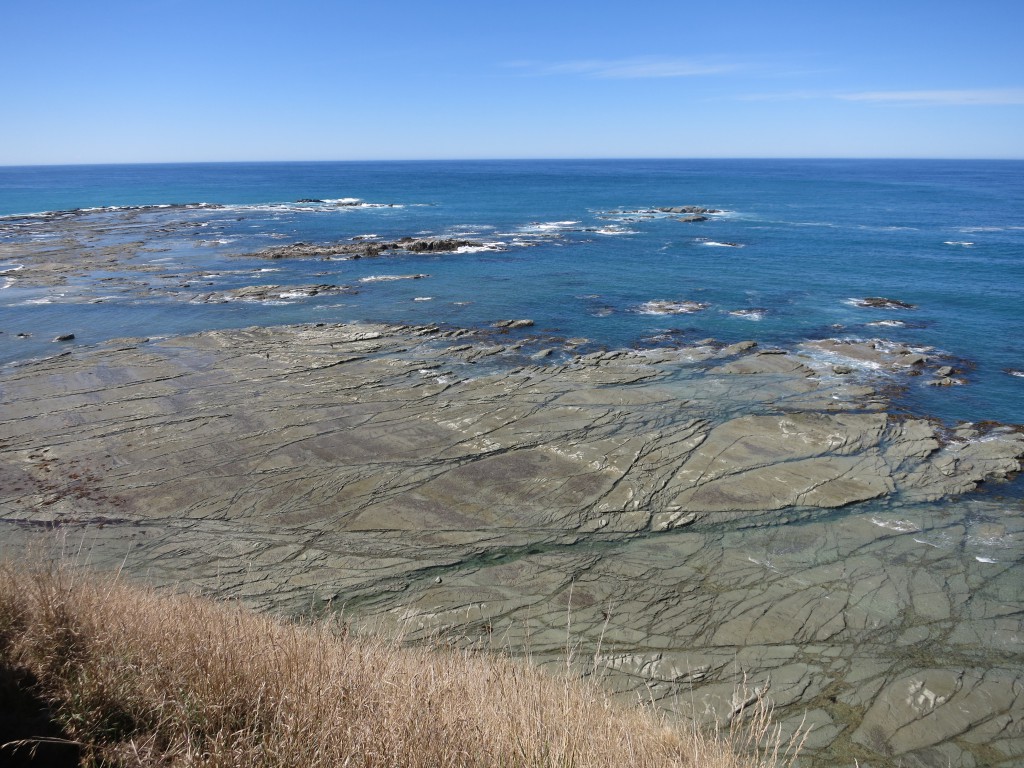 Ebbe an der Kaikoura-Halbinsel