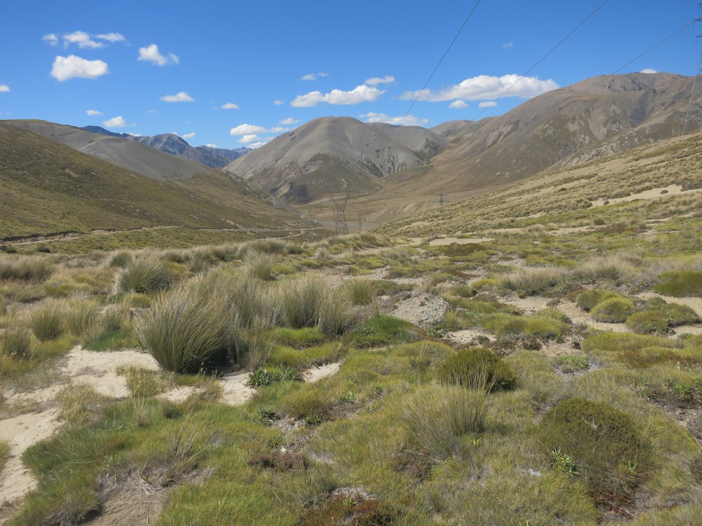 Blick auf die Grenze zwischen der Pazifischen und Australischen Platte