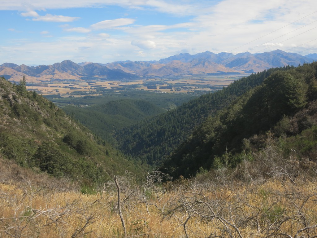 Blick auf das Tal bei Hanmer Springs