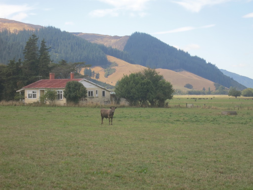 Auf dem Land bei Canvastown