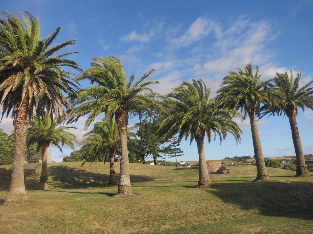 Kriegsdenkmal und Palmen im Queen’s Park