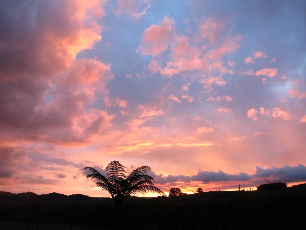 Abendhimmel über Te Kuiti