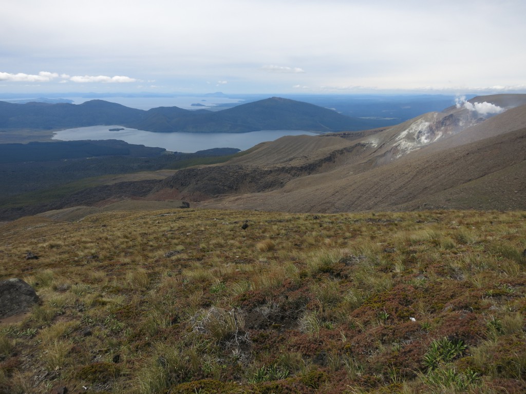 Tongariro-Nationalpark: Dampf des Te Maari sowie Lake Rotoaira und Lake Taupo