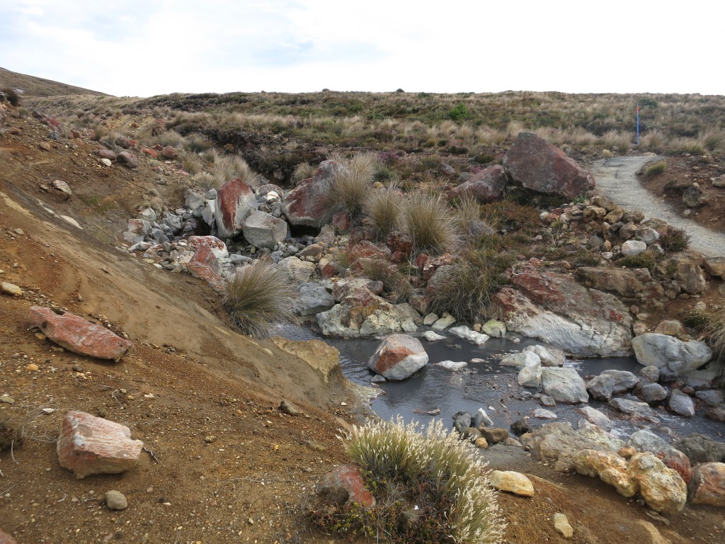 Tongariro-Nationalpark: Flüsschen beim Abstieg zum Ketetahi-Parkplatz