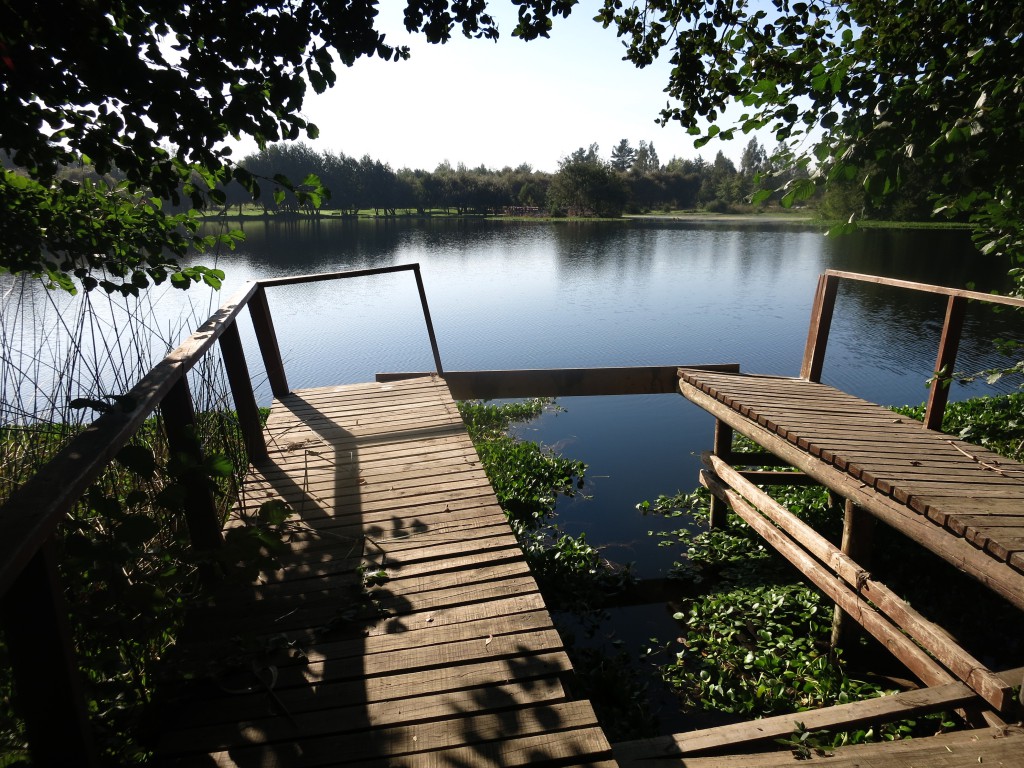 Zwillingssee