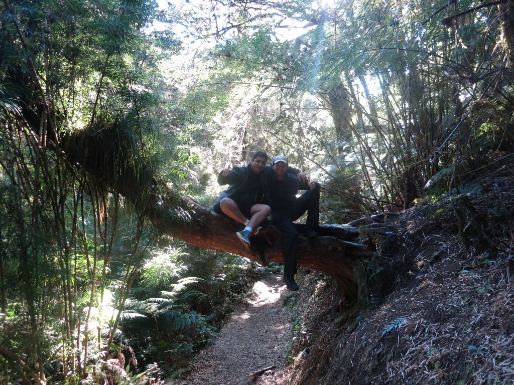 Mit Francisco im Regenwald auf dem Weg zum Cerro Oncol