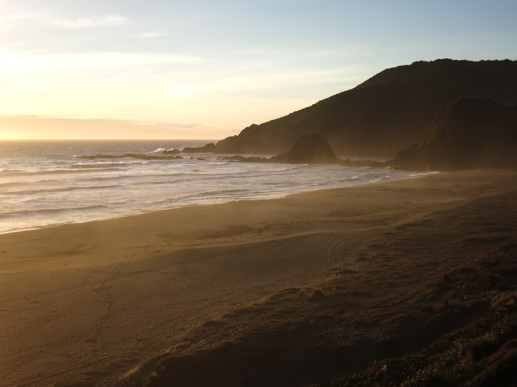 Playa Curiñanco