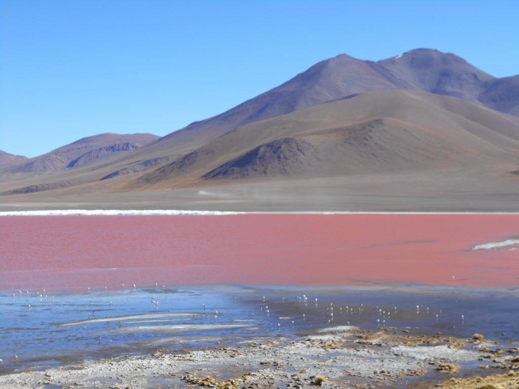 Laguna Colorada