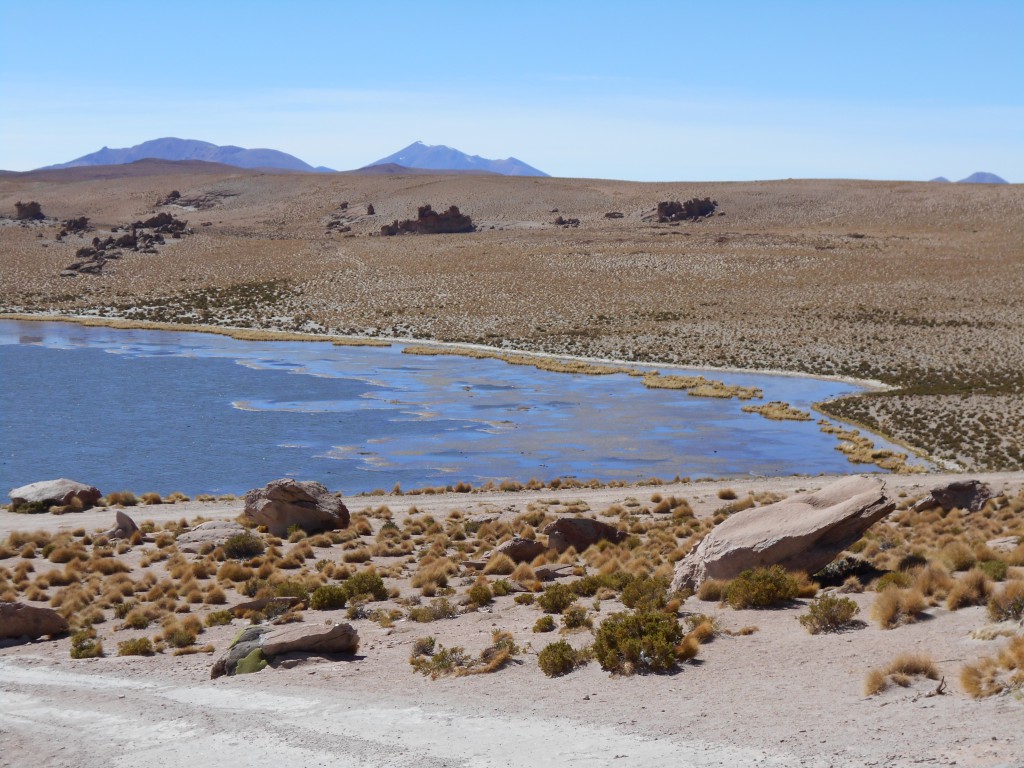 Laguna Negra