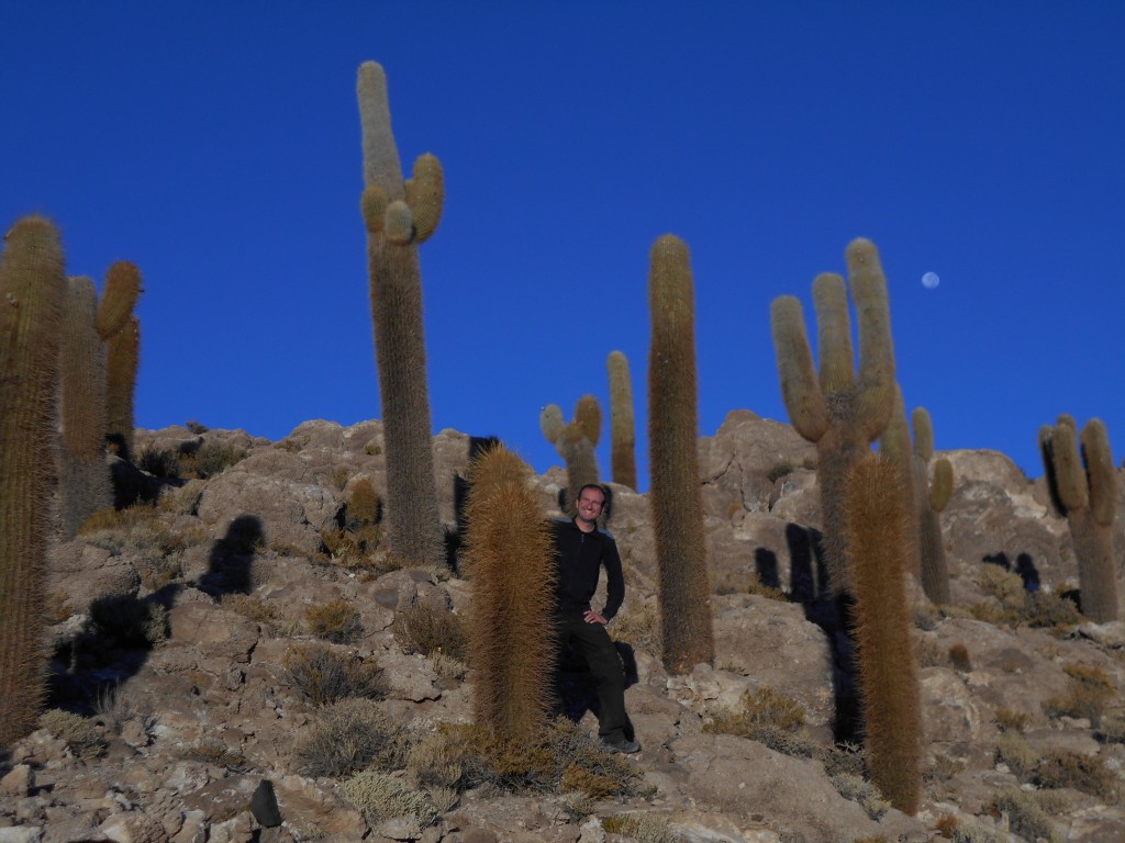 Bei den Kakteen auf der Isla Incahuasi