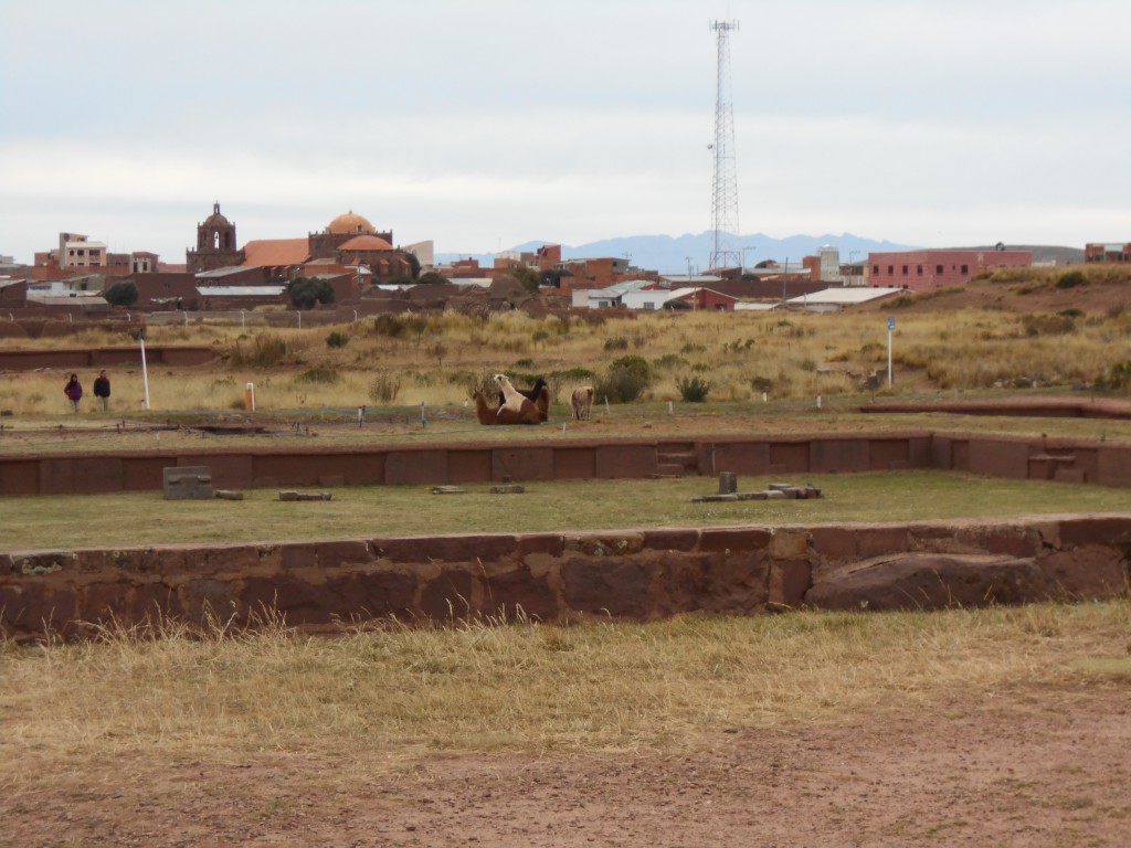 Tiwanaku: Lamas bei der Paarung an einer Tempelruine vor der Stadtkirche