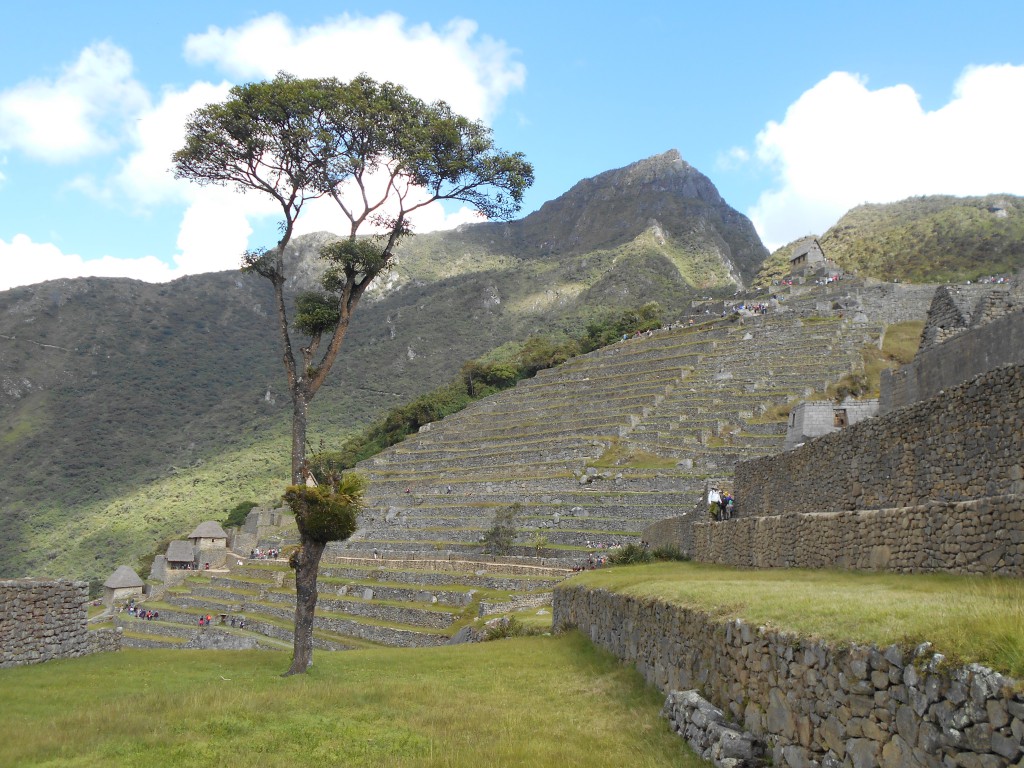 Blick von den Ruinen zur Spitze des Machu Picchu