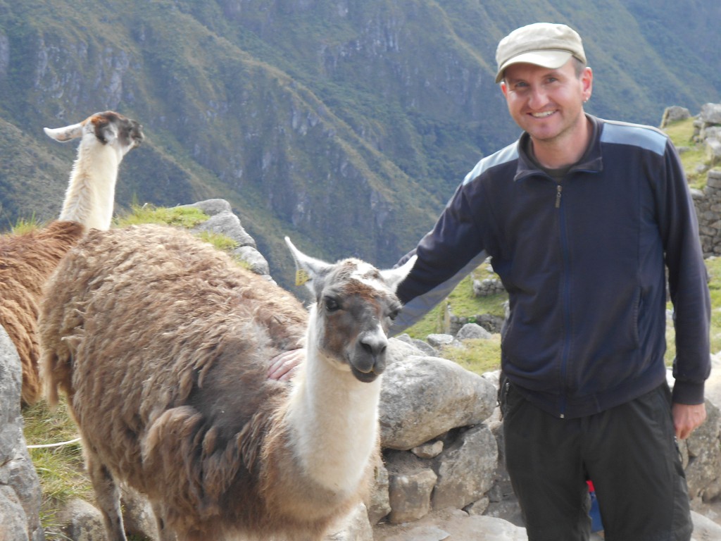 Mit Lamas bei den Ruinen