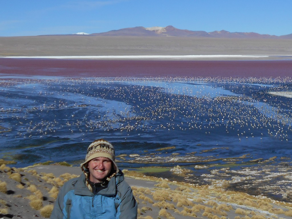 Vor den unzähligen Flamingos an der Laguna Colorada