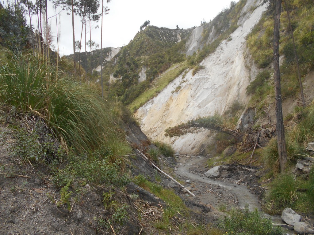 Im Tal des Río Toachi