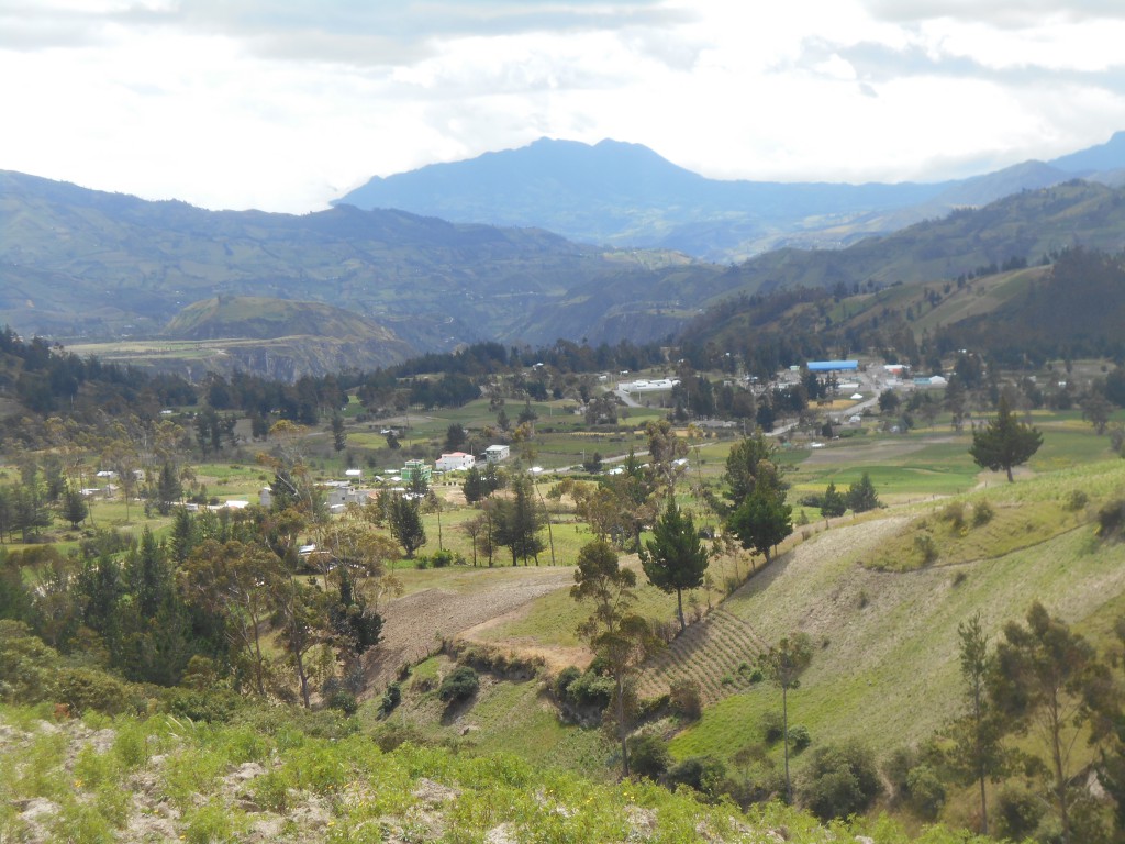 Blick zurück nach Guayama